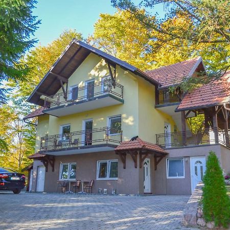 Vila Savinka Zlatibor Ngoại thất bức ảnh