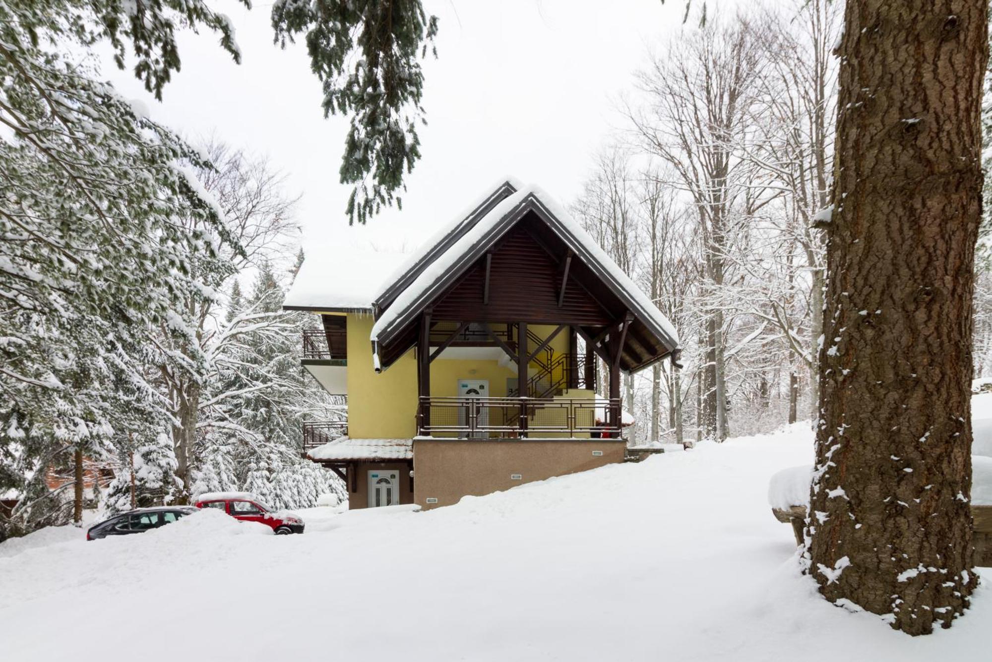 Vila Savinka Zlatibor Ngoại thất bức ảnh
