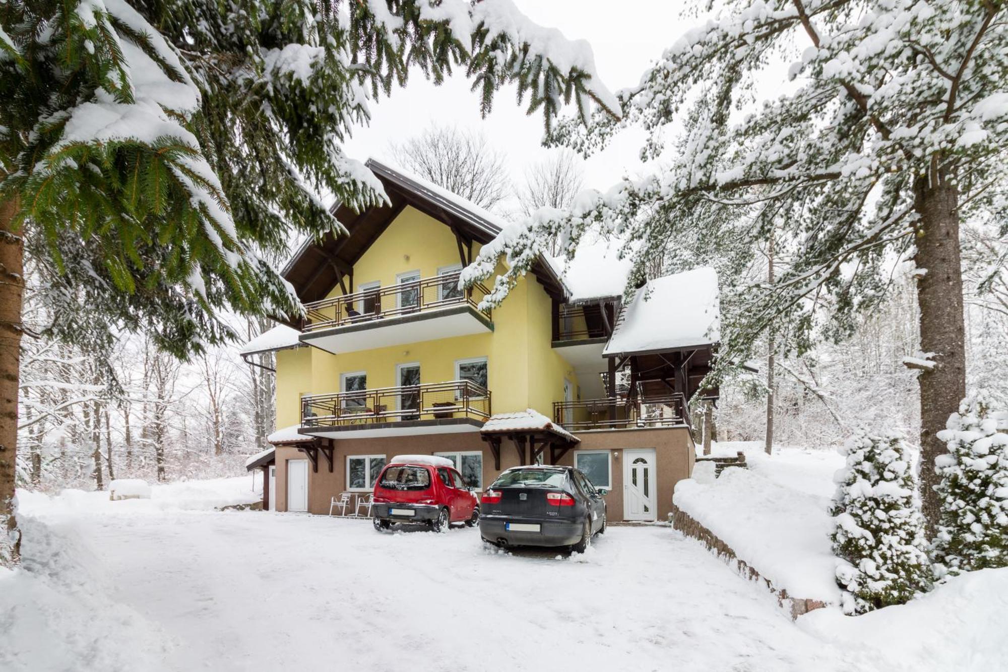 Vila Savinka Zlatibor Ngoại thất bức ảnh